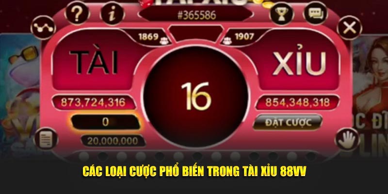 Các loại cược phổ biến trong Tài Xỉu 88VV