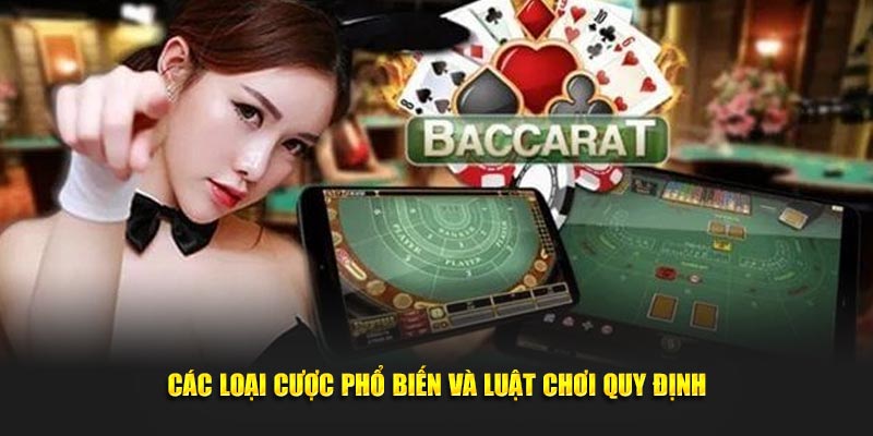 Các loại cược phổ biến và luật chơi quy định